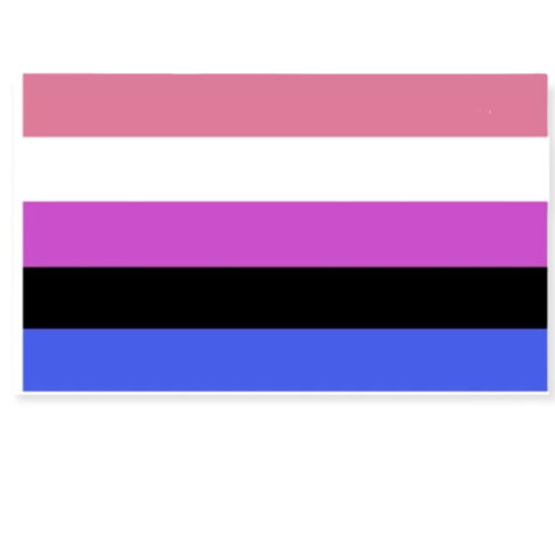 Drapeau 'genderfluïd' 90 x 150 cm