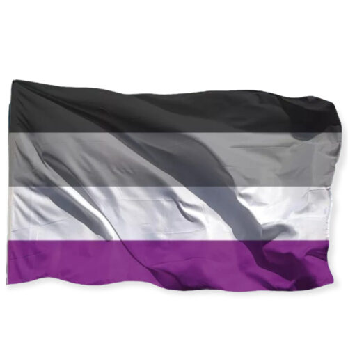 Drapeau 'asexuel' 90 x 150 cm