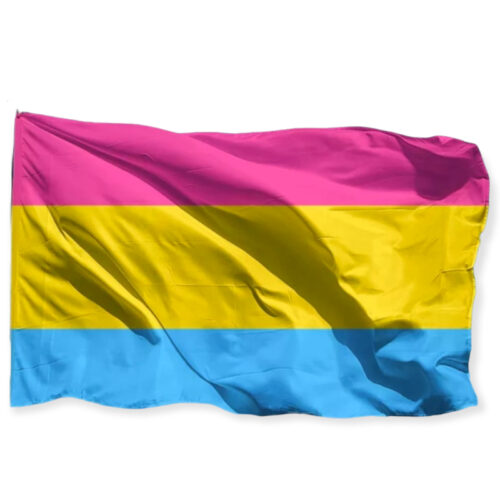 Drapeau 'pansexuel' 90 x 150 cm