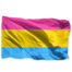 Drapeau 'pansexuel' 90 x 150 cm