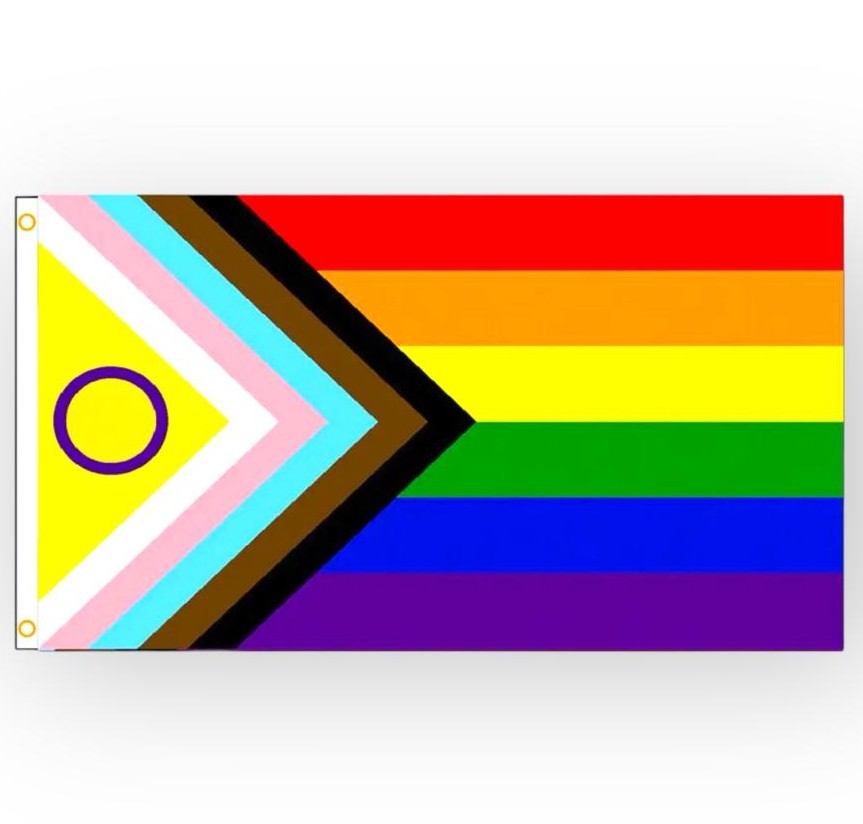Drapeau 'fierté progressiste inclusive des personnes intersexes' 90 x 150 cm