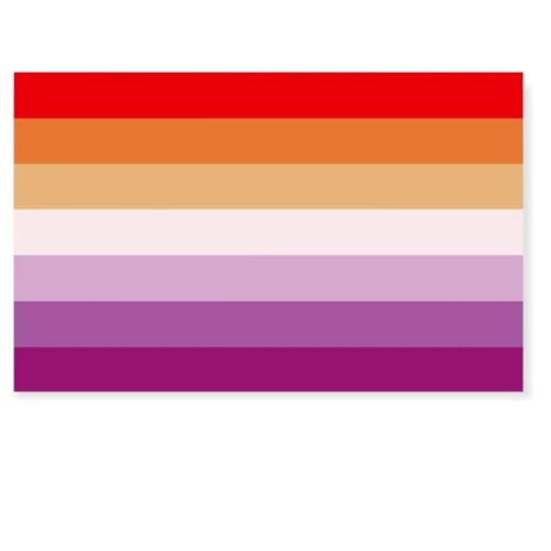 Drapeau 'lesbien' 90 x 150 cm