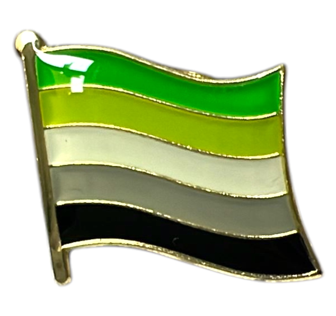 Pin’s (mini) drapeau 'aromantique'
