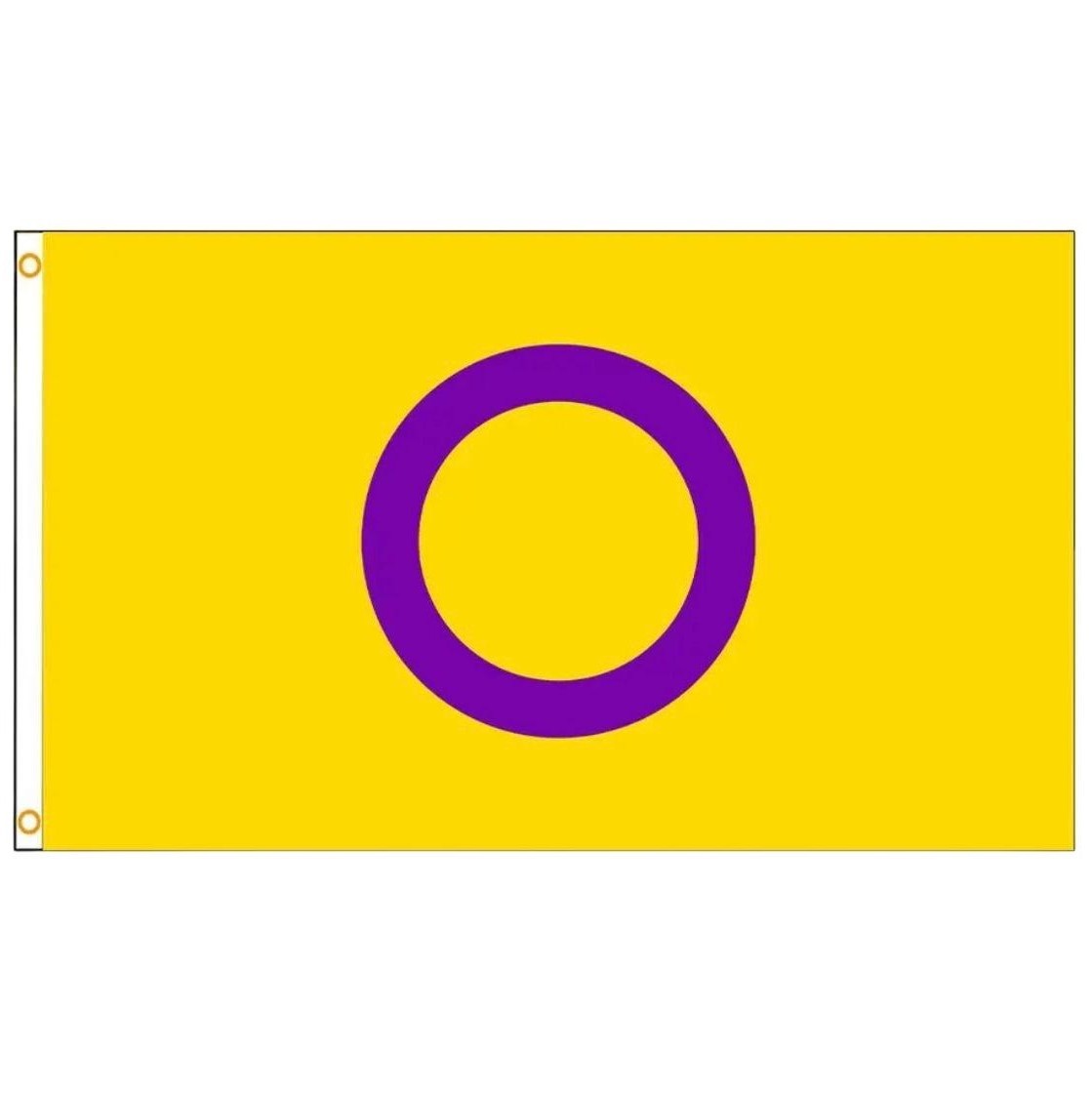 Drapeau 'intersexe' 90 x 150 cm