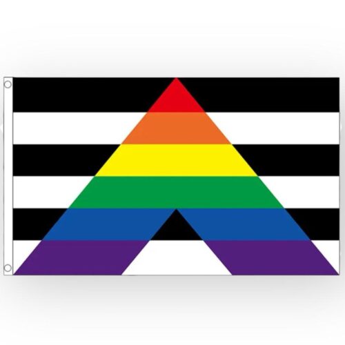 Drapeau 'straight ally' 90 x 150 cm