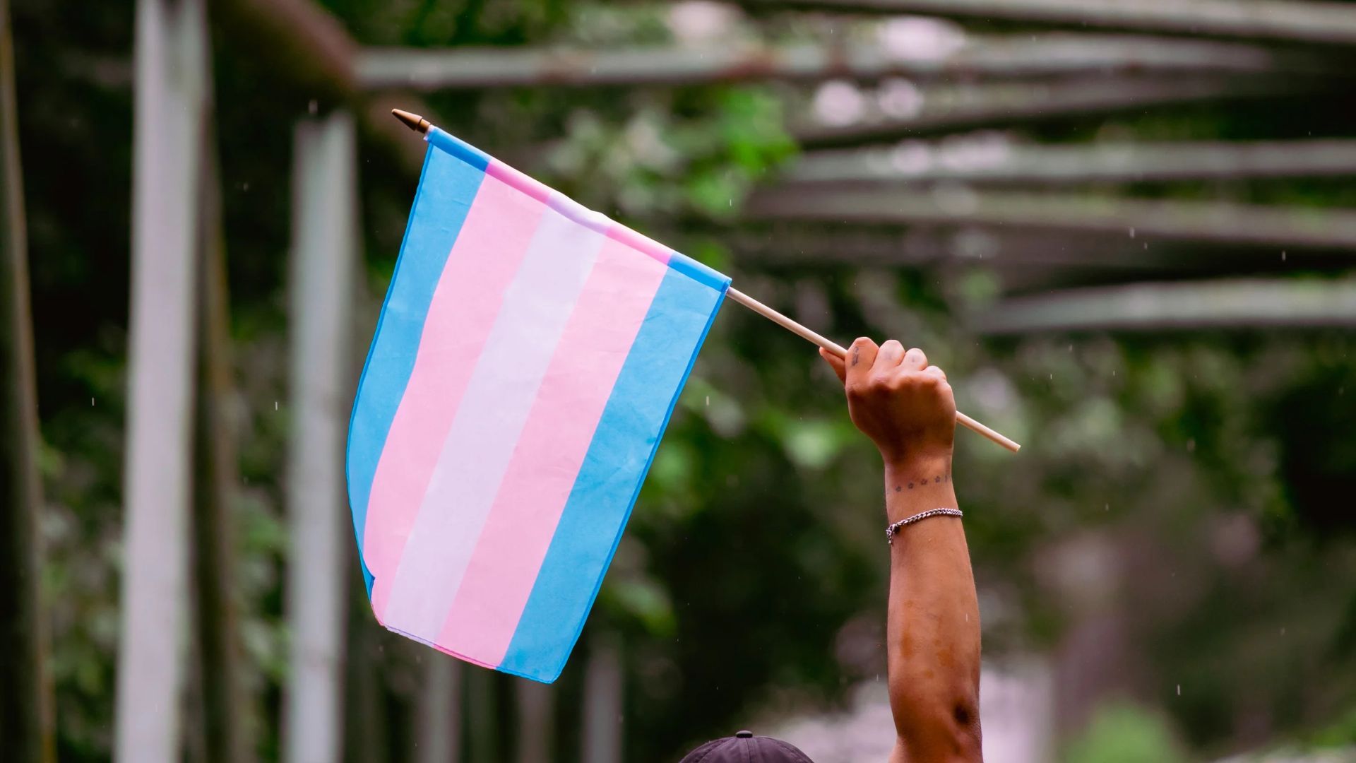 transgender-awarness-week-blog
